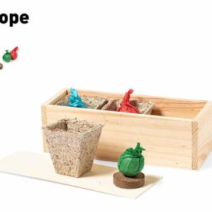 Klimavenligt krydderurte kit