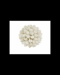 Shelia koral kugle 6.5 cm
