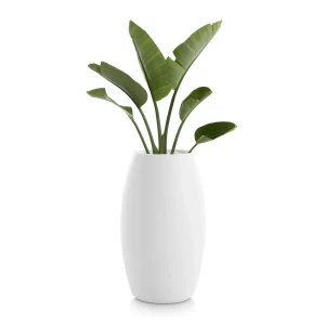 SAHARA 2 Plantekrukke